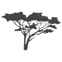 African Tree Icon