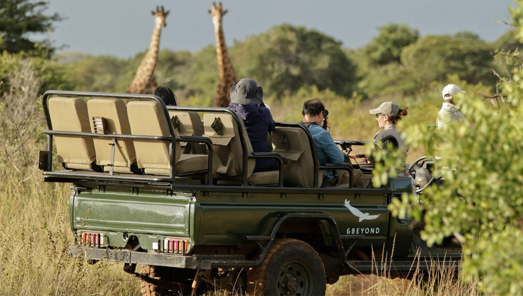 Our Guide to Staying Inside: Virtual Safaris | Ubuntu Travel Group