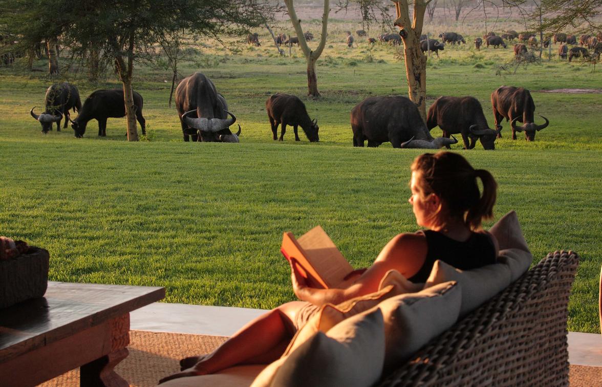 How much does an African Safari Cost? | Ubuntu Travel Group