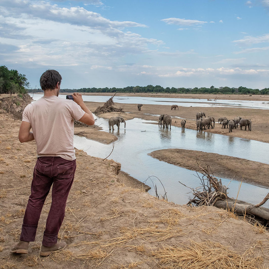 Walking & Island Safari 