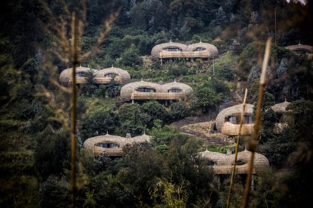 Wilderness Bisate, Rwanda