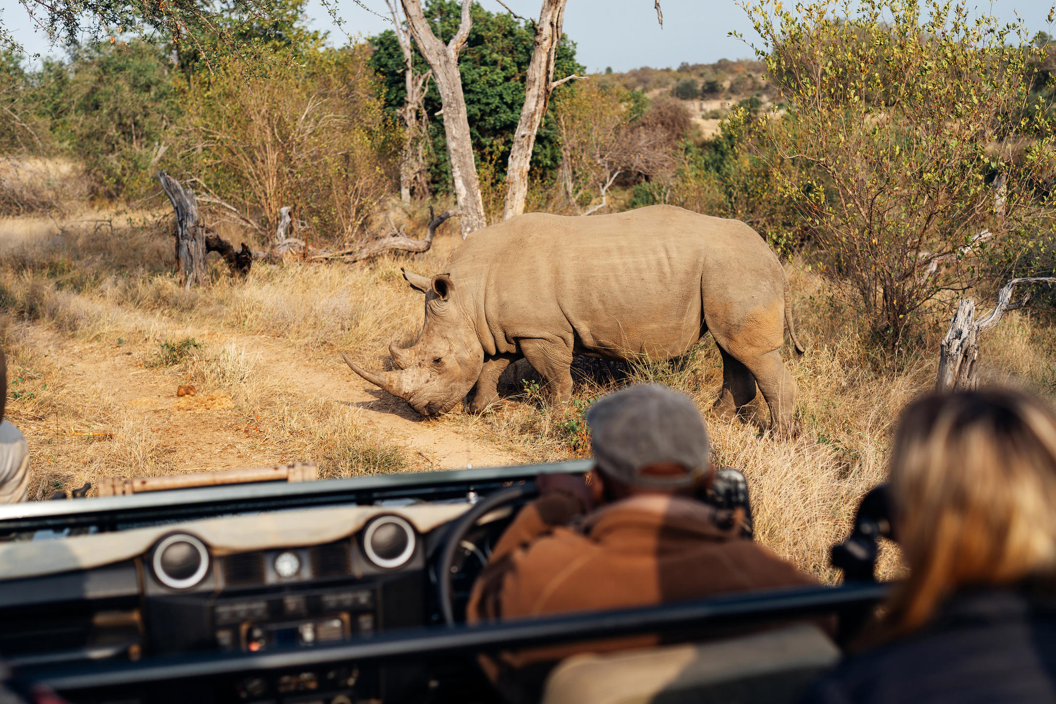 Simbavati River Lodge, Timbavati Game Reserve, South Africa.