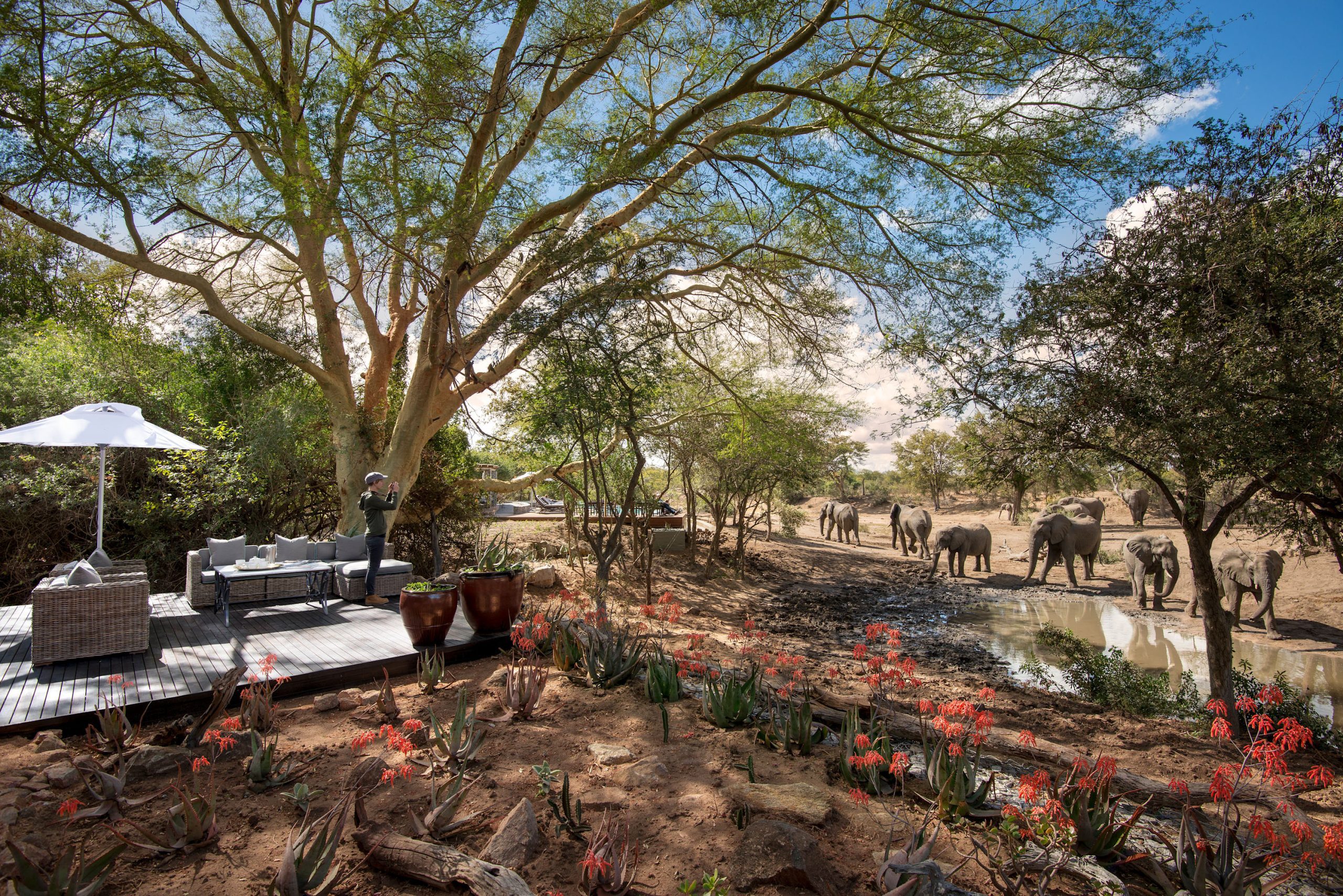 Ngala Safari Lodge, Kruger National Park, South Africa