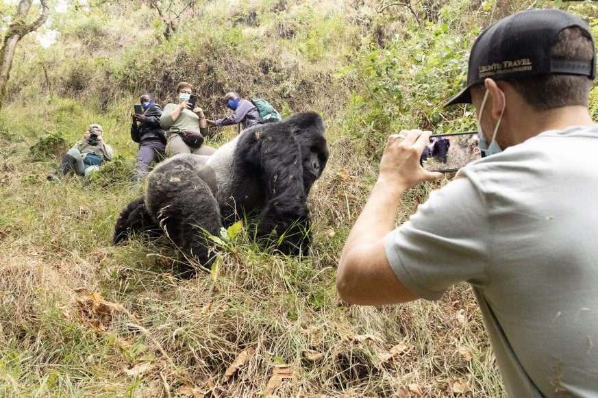 gorilla_trekking_mgahinga_gorilla_national_park_003_lr-copy