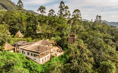 bwindi-lodge