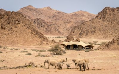 wilderness-hoanib-skeleton-coast-camp_2