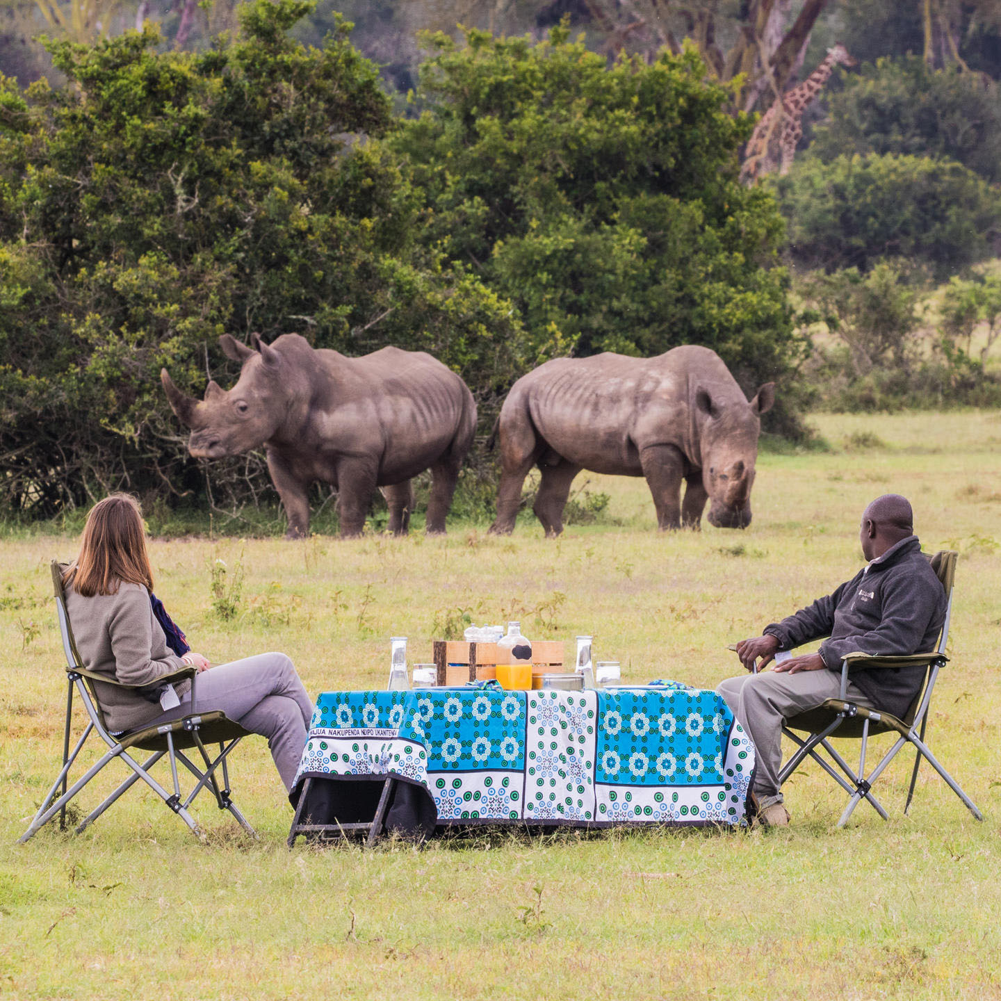 Laikipia | Lewa Conservancy | Kenya