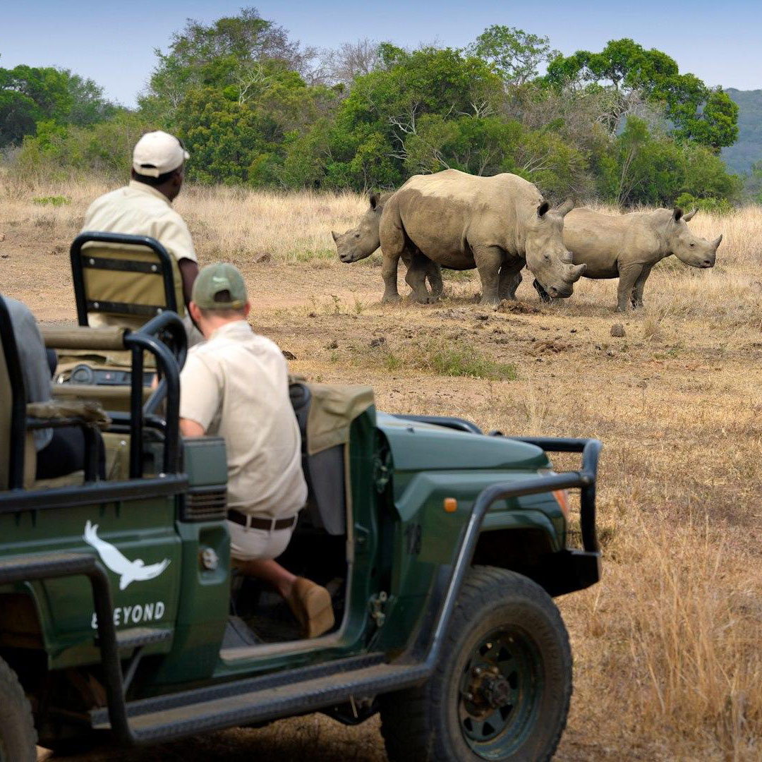 andBeyond Phinda Private Game Reserve | South Africa 