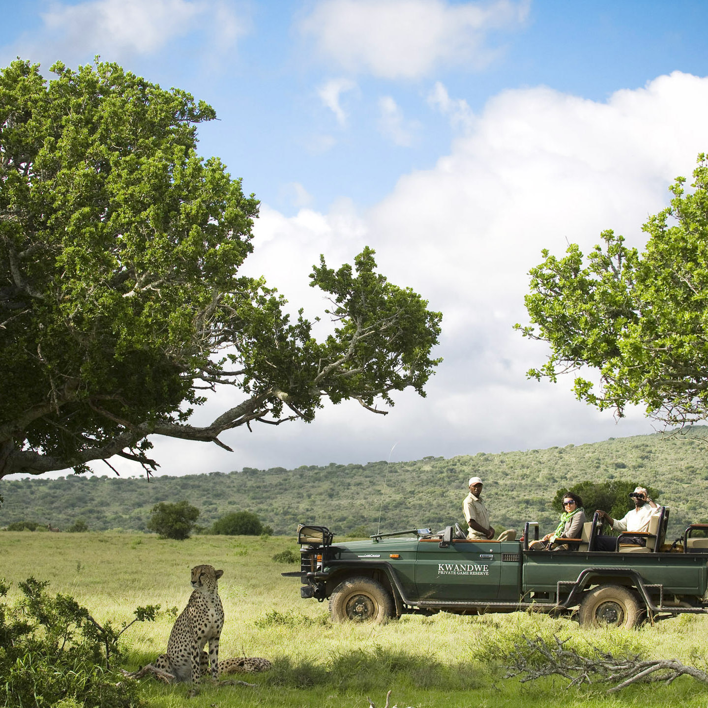 Malaria-Free Big Five Safari 