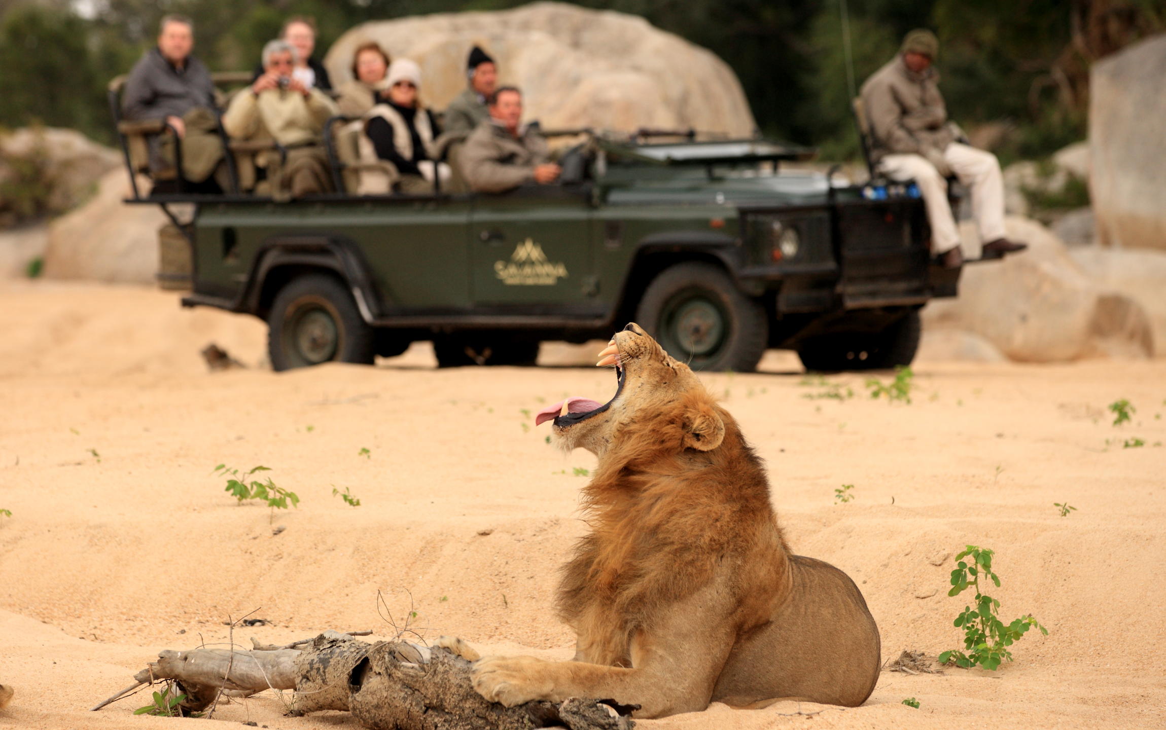 Savanna Lodge, Sabi Sands, South Africa