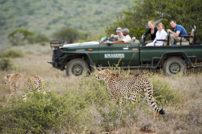 Kwandwe Private Game Reserve, South Africa