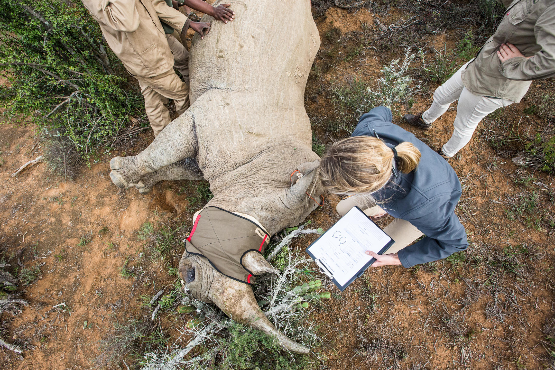 Kwandwe Private Game Reserve, South Africa