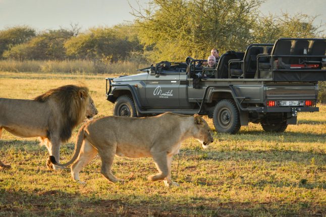 Marataba, Marakele National Park, South Africa