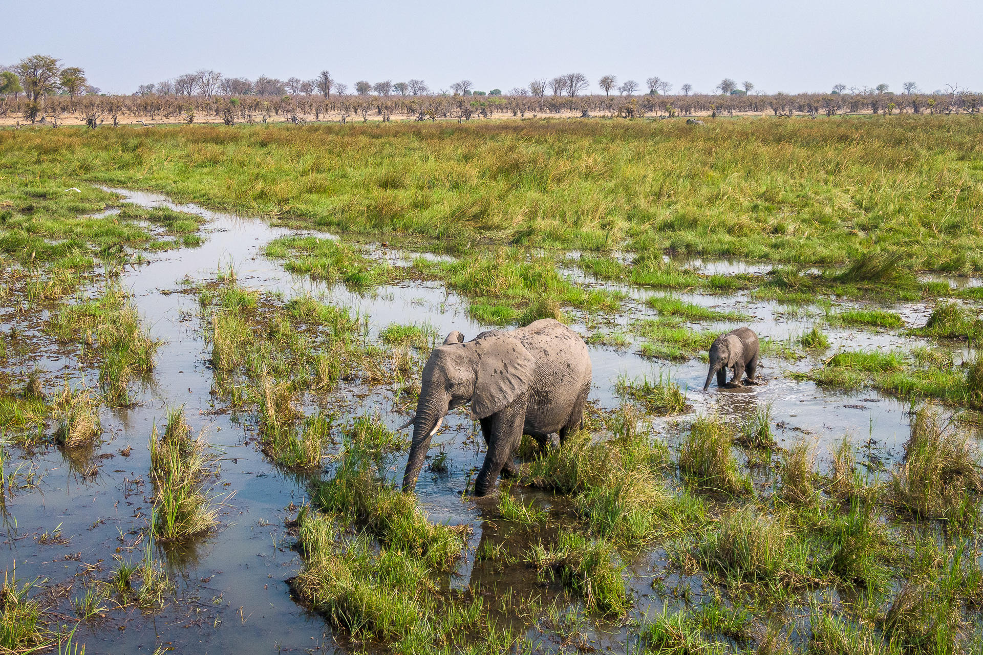 Mokete Lodge, Mababe depression, Botswana